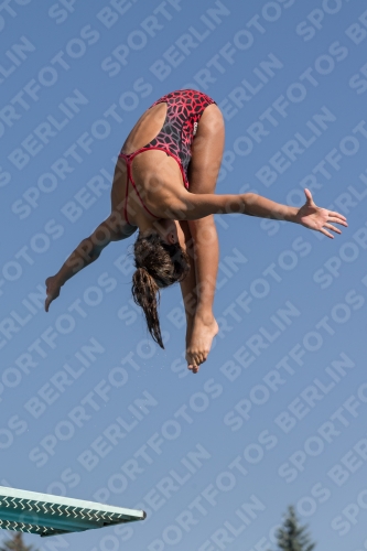 2017 - 8. Sofia Diving Cup 2017 - 8. Sofia Diving Cup 03012_09688.jpg