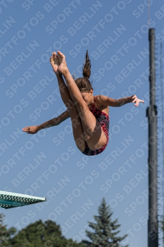 2017 - 8. Sofia Diving Cup 2017 - 8. Sofia Diving Cup 03012_09691.jpg