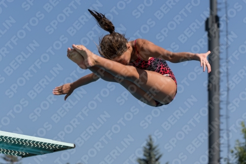 2017 - 8. Sofia Diving Cup 2017 - 8. Sofia Diving Cup 03012_09692.jpg