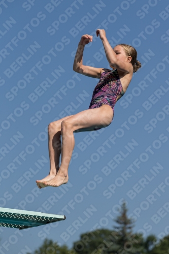 2017 - 8. Sofia Diving Cup 2017 - 8. Sofia Diving Cup 03012_09712.jpg
