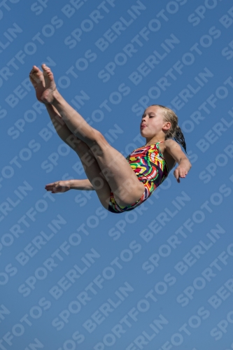 2017 - 8. Sofia Diving Cup 2017 - 8. Sofia Diving Cup 03012_09723.jpg