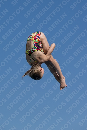 2017 - 8. Sofia Diving Cup 2017 - 8. Sofia Diving Cup 03012_09726.jpg