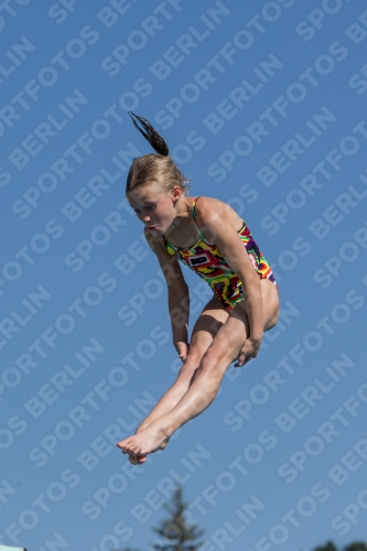 2017 - 8. Sofia Diving Cup 2017 - 8. Sofia Diving Cup 03012_09728.jpg