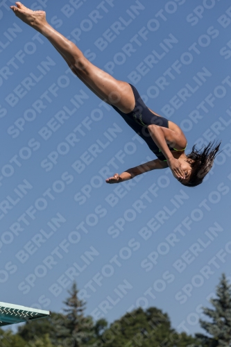 2017 - 8. Sofia Diving Cup 2017 - 8. Sofia Diving Cup 03012_09735.jpg