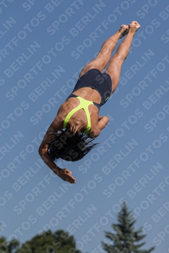 2017 - 8. Sofia Diving Cup 2017 - 8. Sofia Diving Cup 03012_09737.jpg