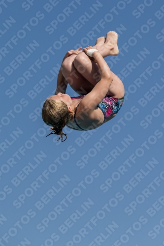 2017 - 8. Sofia Diving Cup 2017 - 8. Sofia Diving Cup 03012_09744.jpg