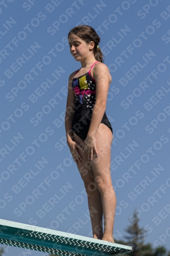 2017 - 8. Sofia Diving Cup 2017 - 8. Sofia Diving Cup 03012_09748.jpg