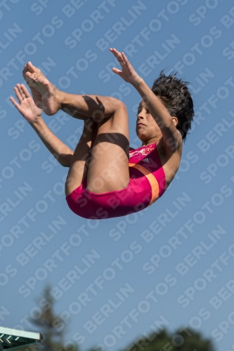 2017 - 8. Sofia Diving Cup 2017 - 8. Sofia Diving Cup 03012_09754.jpg