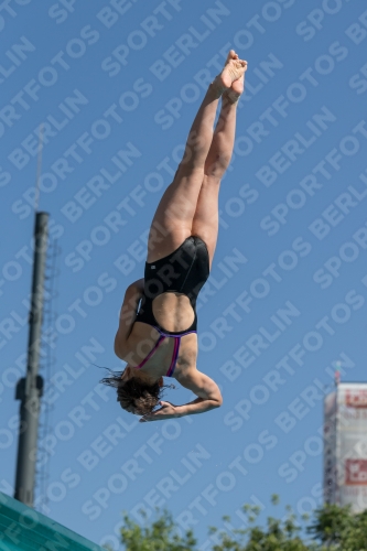 2017 - 8. Sofia Diving Cup 2017 - 8. Sofia Diving Cup 03012_09755.jpg