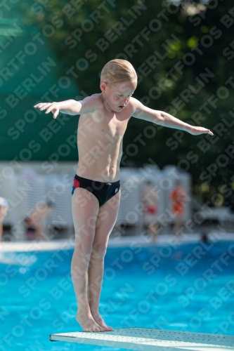 2017 - 8. Sofia Diving Cup 2017 - 8. Sofia Diving Cup 03012_09801.jpg
