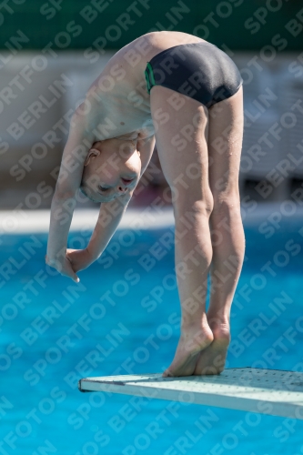 2017 - 8. Sofia Diving Cup 2017 - 8. Sofia Diving Cup 03012_09802.jpg