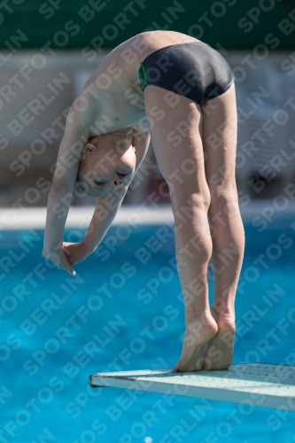 2017 - 8. Sofia Diving Cup 2017 - 8. Sofia Diving Cup 03012_09803.jpg