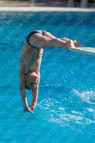 2017 - 8. Sofia Diving Cup 2017 - 8. Sofia Diving Cup 03012_09805.jpg