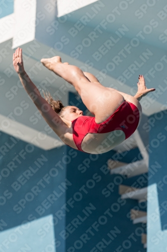 2017 - 8. Sofia Diving Cup 2017 - 8. Sofia Diving Cup 03012_09820.jpg