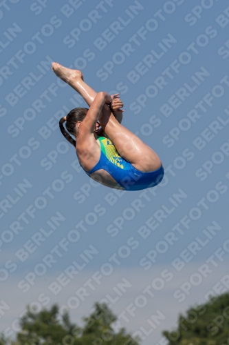 2017 - 8. Sofia Diving Cup 2017 - 8. Sofia Diving Cup 03012_09833.jpg