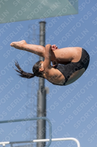 2017 - 8. Sofia Diving Cup 2017 - 8. Sofia Diving Cup 03012_09841.jpg