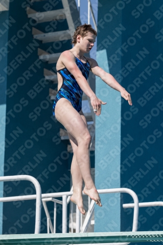 2017 - 8. Sofia Diving Cup 2017 - 8. Sofia Diving Cup 03012_09846.jpg