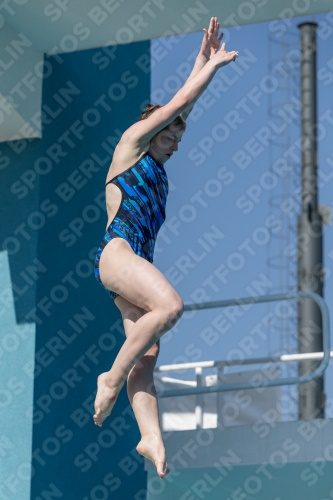 2017 - 8. Sofia Diving Cup 2017 - 8. Sofia Diving Cup 03012_09849.jpg