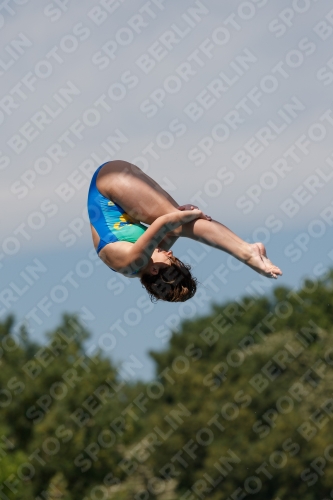 2017 - 8. Sofia Diving Cup 2017 - 8. Sofia Diving Cup 03012_09857.jpg