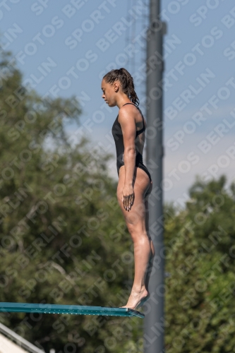 2017 - 8. Sofia Diving Cup 2017 - 8. Sofia Diving Cup 03012_09878.jpg