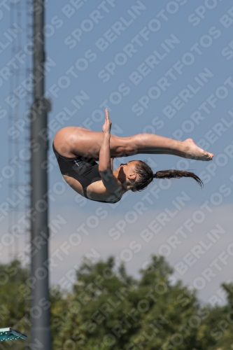 2017 - 8. Sofia Diving Cup 2017 - 8. Sofia Diving Cup 03012_09882.jpg