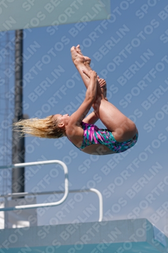 2017 - 8. Sofia Diving Cup 2017 - 8. Sofia Diving Cup 03012_09887.jpg