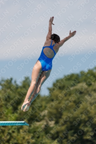 2017 - 8. Sofia Diving Cup 2017 - 8. Sofia Diving Cup 03012_09903.jpg