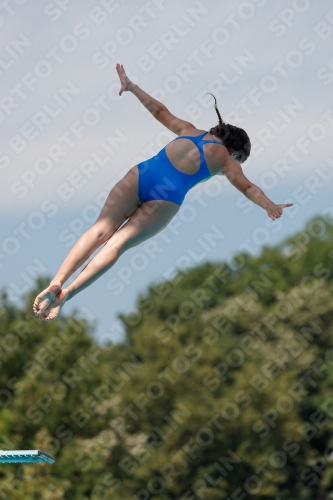 2017 - 8. Sofia Diving Cup 2017 - 8. Sofia Diving Cup 03012_09905.jpg