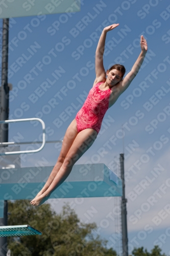 2017 - 8. Sofia Diving Cup 2017 - 8. Sofia Diving Cup 03012_09909.jpg