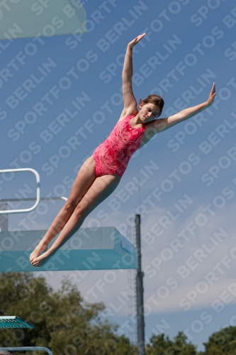 2017 - 8. Sofia Diving Cup 2017 - 8. Sofia Diving Cup 03012_09910.jpg