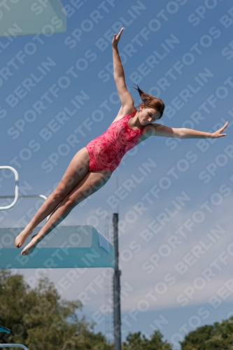 2017 - 8. Sofia Diving Cup 2017 - 8. Sofia Diving Cup 03012_09911.jpg