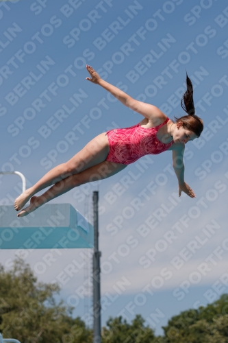 2017 - 8. Sofia Diving Cup 2017 - 8. Sofia Diving Cup 03012_09913.jpg