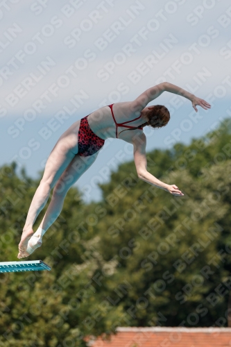 2017 - 8. Sofia Diving Cup 2017 - 8. Sofia Diving Cup 03012_09927.jpg