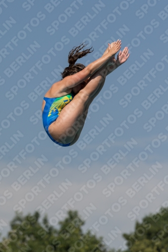 2017 - 8. Sofia Diving Cup 2017 - 8. Sofia Diving Cup 03012_09938.jpg