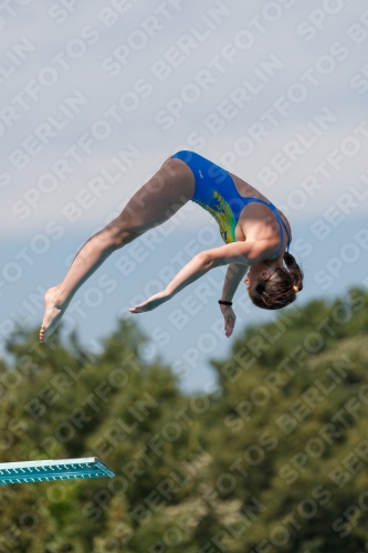 2017 - 8. Sofia Diving Cup 2017 - 8. Sofia Diving Cup 03012_09942.jpg