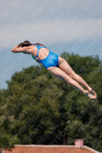 2017 - 8. Sofia Diving Cup 2017 - 8. Sofia Diving Cup 03012_09948.jpg