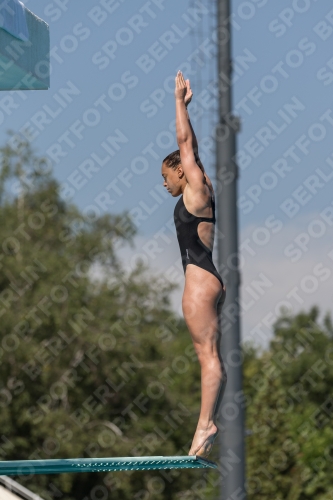 2017 - 8. Sofia Diving Cup 2017 - 8. Sofia Diving Cup 03012_09960.jpg