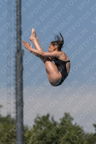 2017 - 8. Sofia Diving Cup 2017 - 8. Sofia Diving Cup 03012_09962.jpg