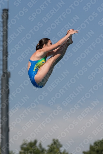 2017 - 8. Sofia Diving Cup 2017 - 8. Sofia Diving Cup 03012_09968.jpg