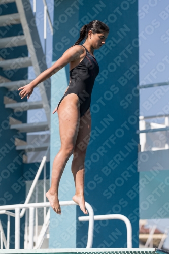 2017 - 8. Sofia Diving Cup 2017 - 8. Sofia Diving Cup 03012_09975.jpg