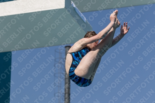 2017 - 8. Sofia Diving Cup 2017 - 8. Sofia Diving Cup 03012_09984.jpg