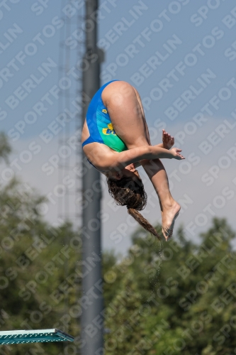 2017 - 8. Sofia Diving Cup 2017 - 8. Sofia Diving Cup 03012_09993.jpg