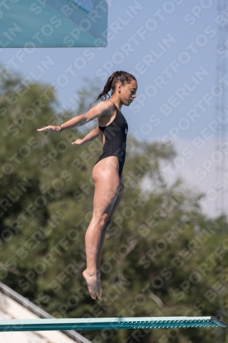 2017 - 8. Sofia Diving Cup 2017 - 8. Sofia Diving Cup 03012_10003.jpg