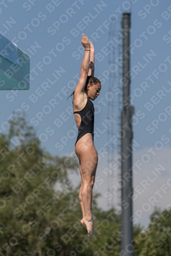 2017 - 8. Sofia Diving Cup 2017 - 8. Sofia Diving Cup 03012_10005.jpg