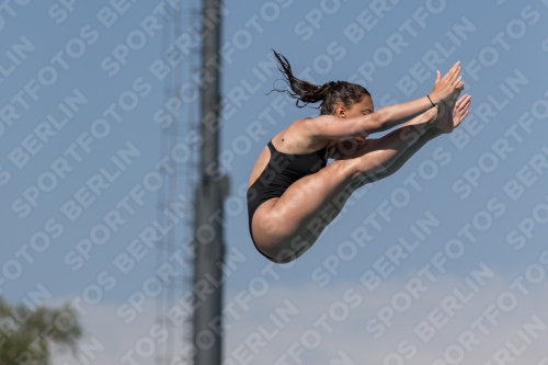 2017 - 8. Sofia Diving Cup 2017 - 8. Sofia Diving Cup 03012_10006.jpg