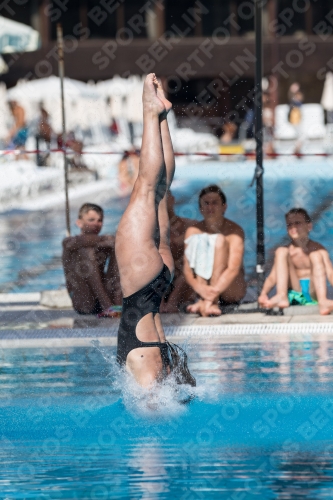 2017 - 8. Sofia Diving Cup 2017 - 8. Sofia Diving Cup 03012_10010.jpg