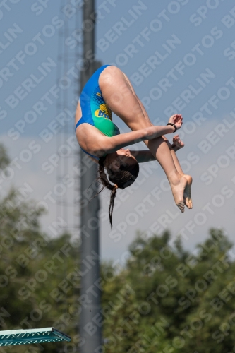 2017 - 8. Sofia Diving Cup 2017 - 8. Sofia Diving Cup 03012_10016.jpg