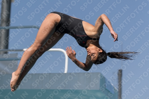 2017 - 8. Sofia Diving Cup 2017 - 8. Sofia Diving Cup 03012_10026.jpg