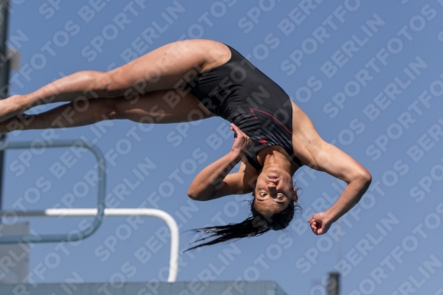 2017 - 8. Sofia Diving Cup 2017 - 8. Sofia Diving Cup 03012_10027.jpg