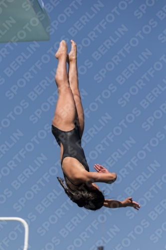 2017 - 8. Sofia Diving Cup 2017 - 8. Sofia Diving Cup 03012_10029.jpg